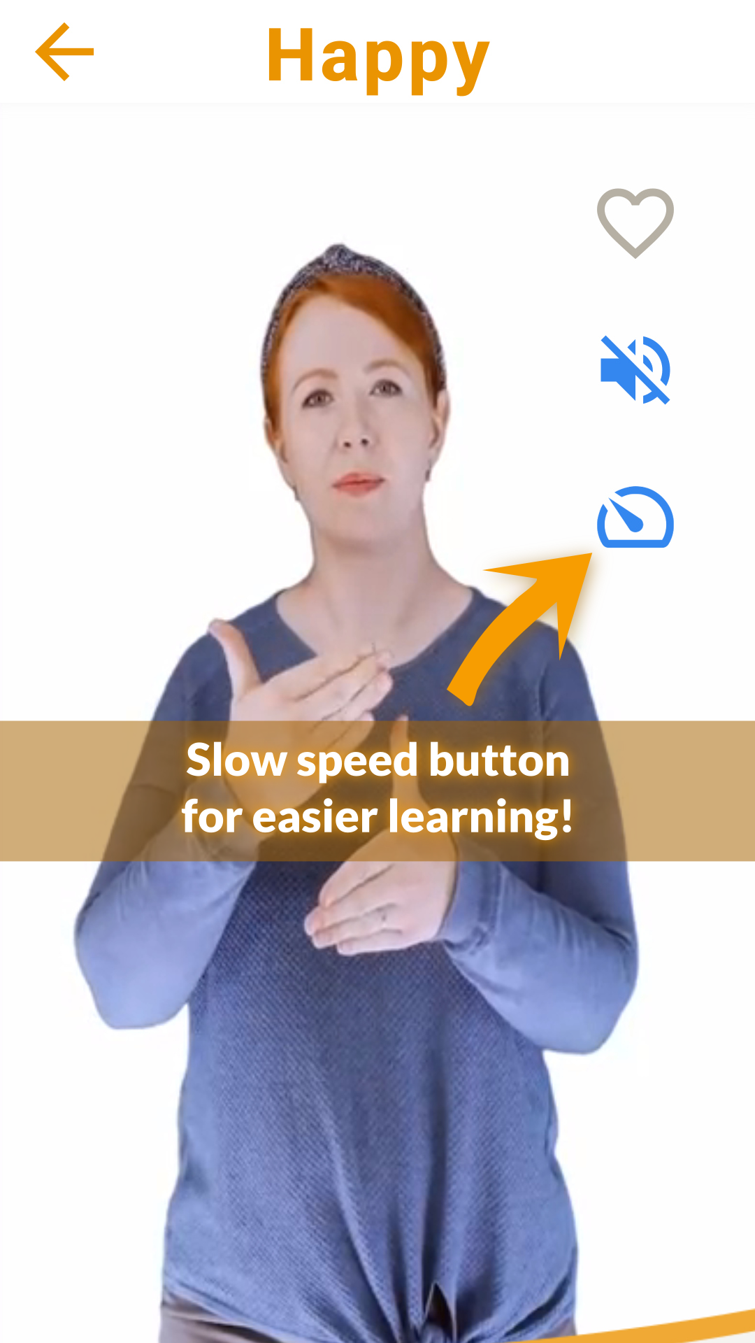 Screenshot showing slow speed annotation feature